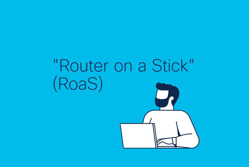 Router On A Stick